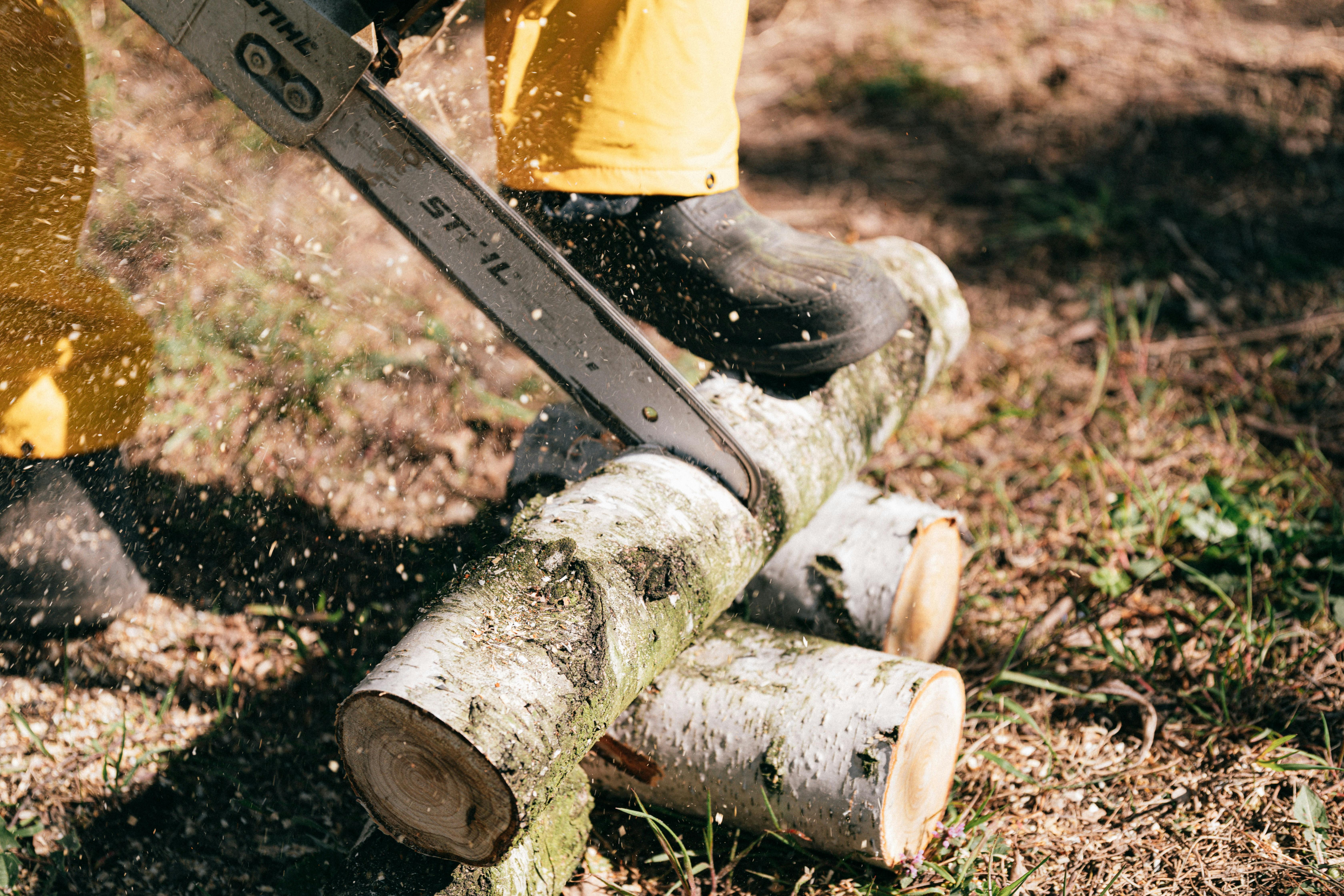 Stihl Akku Kettensäge in action